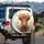 Highland Cow Flower Crown Wild Botanicals - Farmhouse Decor Cow Lover Gift Spare Tire Cover - 3