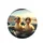 Ducklings Sunglasses Steering Open Road View - Road Trip Vehicle Decor Gift Spare Tire Cover - 4