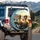 Ducklings Sunglasses Steering Open Road View - Road Trip Vehicle Decor Gift Spare Tire Cover - 3