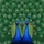 Two Majestic Peacocks Symmetrical Fanned Iridescent Feather Eyespots - Wildlife Lover Gift Spare Tire Cover - 6