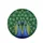 Two Majestic Peacocks Symmetrical Fanned Iridescent Feather Eyespots - Wildlife Lover Gift Spare Tire Cover - 4