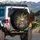 Majestic Tabby Cat Head Stargazing Endless Night - Cat Lover Gift Spare Tire Cover - 3