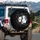 Black White Cartoon Cats Winking Bow Hat Paw Prints Swirling Lines - Everyday Cat Lover Gift Spare Tire Cover - 3