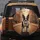 Boston Terrier Baseball Autumn Leaves Brownstone City Street - Pet Owner Gift Spare Tire Cover - 5