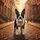 Boston Terrier Baseball Autumn Leaves Brownstone City Street - Pet Owner Gift Spare Tire Cover - 6