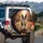 Boston Terrier Baseball Autumn Leaves Brownstone City Street - Pet Owner Gift Spare Tire Cover - 3