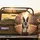 Boston Terrier Baseball Autumn Leaves Brownstone City Street - Pet Owner Gift Spare Tire Cover - 2