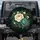 Peony Botanical Gold Tapestry - Home Decor Gift for Flower Lover Spare Tire Cover - 1