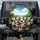 Expressive Schnauzer Terrier Dogs Scenic Road Trip - Adventure Lover Gift Spare Tire Cover - 1
