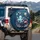 Octopus Crab Jellyfish Ocean Life - Wildlife Lover Gift Spare Tire Cover - 3