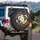 White Yellow Daisies Pink Purple Orange Flowers Green Foliage - Home Decor Gift Spare Tire Cover - 3