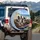 Dogs Driving Classic Car Coastal Road - Travel Essentials Gift for Dog Lovers Spare Tire Cover - 3