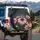 Monarch Butterfly Pink Coneflower Dark Green Foliage Floral - Garden Lover Gift Spare Tire Cover - 3