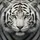 White Tiger Golden Gaze Fur Stripes - Outdoor Vehicle Decor for Tiger Lover Spare Tire Cover - 6