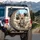 Charismatic Tabby Kitten Group Urban Cityscape Blue Sky Scene - Kitten Lover Gift Spare Tire Cover - 3