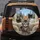 Charismatic Tabby Kitten Group Urban Cityscape Blue Sky Scene - Kitten Lover Gift Spare Tire Cover - 5