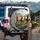 Wild Horses Thundering Grassland - Wildlife Lover Gift Spare Tire Cover - 3