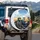 Ant Poodle Driving Open Top Cruiser Sun-drenched Golden Field - Road Trip Adventure Gift Spare Tire Cover - 3
