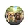 Diverse Dog Pack Golden Lab Rottweiler - Dog Lover Gift Spare Tire Cover - 4