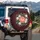 Peach Peony Daisy Floral - Home Decor Gift for Garden Lover Spare Tire Cover - 3