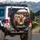 Three Chihuahuas Driving Luxury Car Interior - Chihuahua Lover Gift Spare Tire Cover - 3