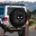 Black Cat White Almond Eyes Whiskers - Dark Aesthetic Everyday Gift for Cat Lover Spare Tire Cover - 3