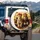 Regal Lioness Red Bow Male Lion Sunglasses Safari - Wildlife Adventure Lover Gift Spare Tire Cover - 3