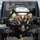 Anthropomorphic Squirrels Driving Sophisticated Car Urban View - Wildlife Lover Gift Spare Tire Cover - 1