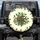 Holly Botanical Tapestry Red Berries Green Leaves - Christmas Holiday Decor Gift Spare Tire Cover - 1