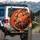 Vibrant Orange Rosebloom Floral Cascade - Garden Lover Home Decor Gift Spare Tire Cover - 3