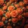 Vibrant Orange Rosebloom Floral Cascade - Garden Lover Home Decor Gift Spare Tire Cover - 6