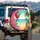 Macaw Pineapple Tropical Beach Paradise - Wildlife Lover Travel Essential Gift Spare Tire Cover - 3