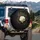 White Rose Golden Filigree Botanical - Home Decor Gift for Plant Lover Spare Tire Cover - 3