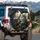 Serious Fluffy Tabby Cat Driver Classic Car Glasses - Auto Enthusiast Gift Spare Tire Cover - 3