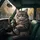 Serious Fluffy Tabby Cat Driver Classic Car Glasses - Auto Enthusiast Gift Spare Tire Cover - 6