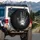 Realistic Hand Paw Print Subtle Smoke Rugged Landscape - Wildlife Lover Gift Spare Tire Cover - 3