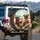 Four Pugs Coastal Road Trip - Dog Lover Travel Gift Spare Tire Cover - 3