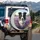 Black White Border Collie Dog Purple Lavender Field Scene - Dog Lover Home Decor Gift Spare Tire Cover - 3