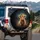 Baby Highland Cow Calf Leopard Bow - Farmhouse Decor Gift for Cow Lover Spare Tire Cover - 3