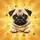 Expressive Pug Dog Sunburst Radiant Paw Prints Stars - Dog Lover Gift Spare Tire Cover - 6