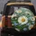 White Daisy Forget-Me-Not Flowers - Nature Lover Home Decor Gift Spare Tire Cover - 5