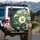 White Daisy Forget-Me-Not Flowers - Nature Lover Home Decor Gift Spare Tire Cover - 3