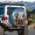 Four Fluffy Dogs Mountain Vista - Dog Lover Outdoor Adventure Gift Spare Tire Cover - 3