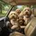 Five Goldendoodle Dogs Driving Car Interior Lush Green Park Scenery - Dog Lover Gift Spare Tire Cover - 6