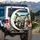 Fluffy Cream Dogs Driving Car Road Trip - Pet Lover Travel Essentials Spare Tire Cover - 3