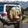Five Alpacas Suburban Street Journey - Road Trip Companion Alpaca Lover Gift Spare Tire Cover - 3
