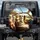 Five Alpacas Suburban Street Journey - Road Trip Companion Alpaca Lover Gift Spare Tire Cover - 1