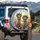 Alpacas Straw Hats Sunglasses Wildflower Meadow - Wildlife Lover Gift for Alpaca Lovers Spare Tire Cover - 3