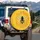 Black Bee Bright Yellow Stripe Golden Honeycomb Wildflower - Nature Lover Gift Spare Tire Cover - 3