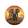 African Elephant Lion Giraffe Zebra Rhino Savanna Sunset - Wildlife Lover Gift Spare Tire Cover - 4